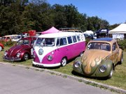 Beetle Show Rioz (8)